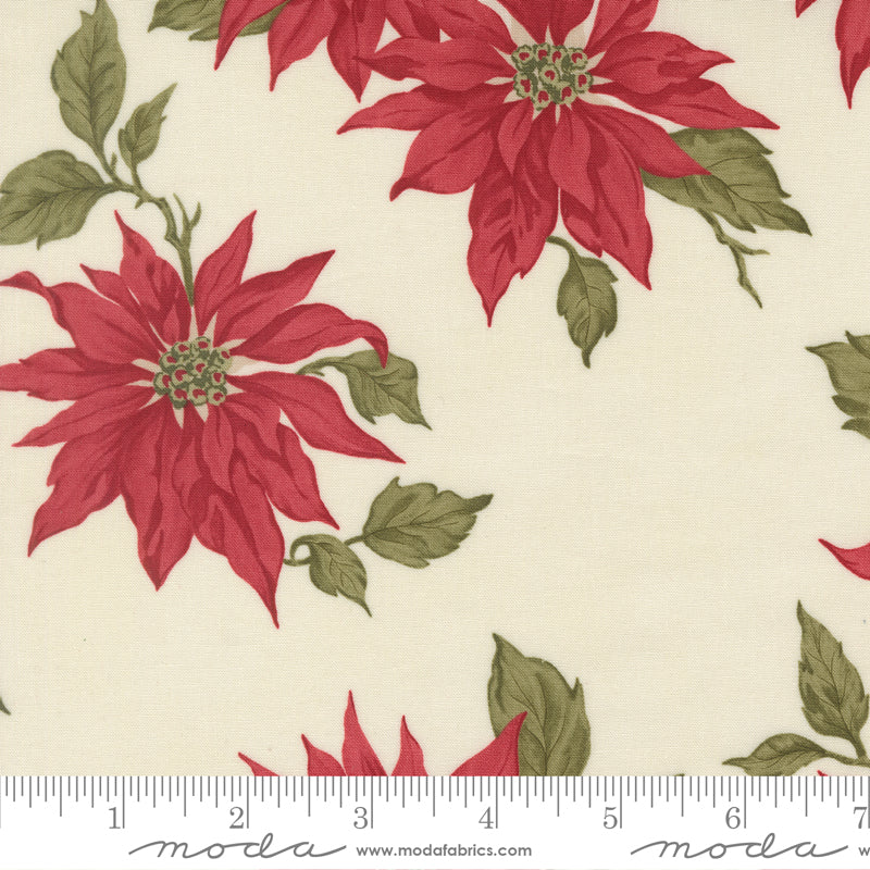 Red poinsettia flowers with green leaves on a beige background, featuring ruler.
