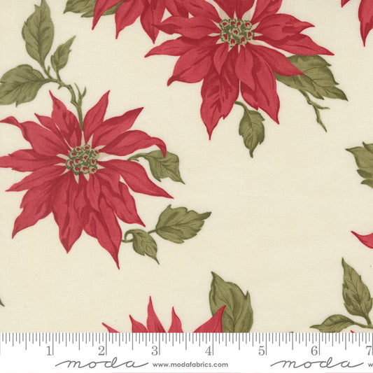 Red poinsettia flowers with green leaves on a beige background, featuring ruler.