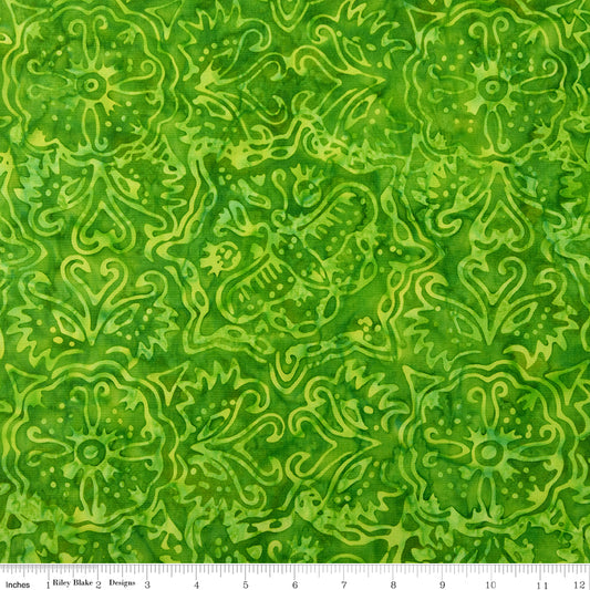 Elementals Rainbow Brights- Green Apple 100% Cot