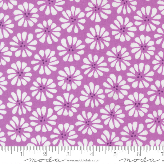 Moda Pick Me 100% Cotton 44-45"- Lazy Daisy Lilac 19